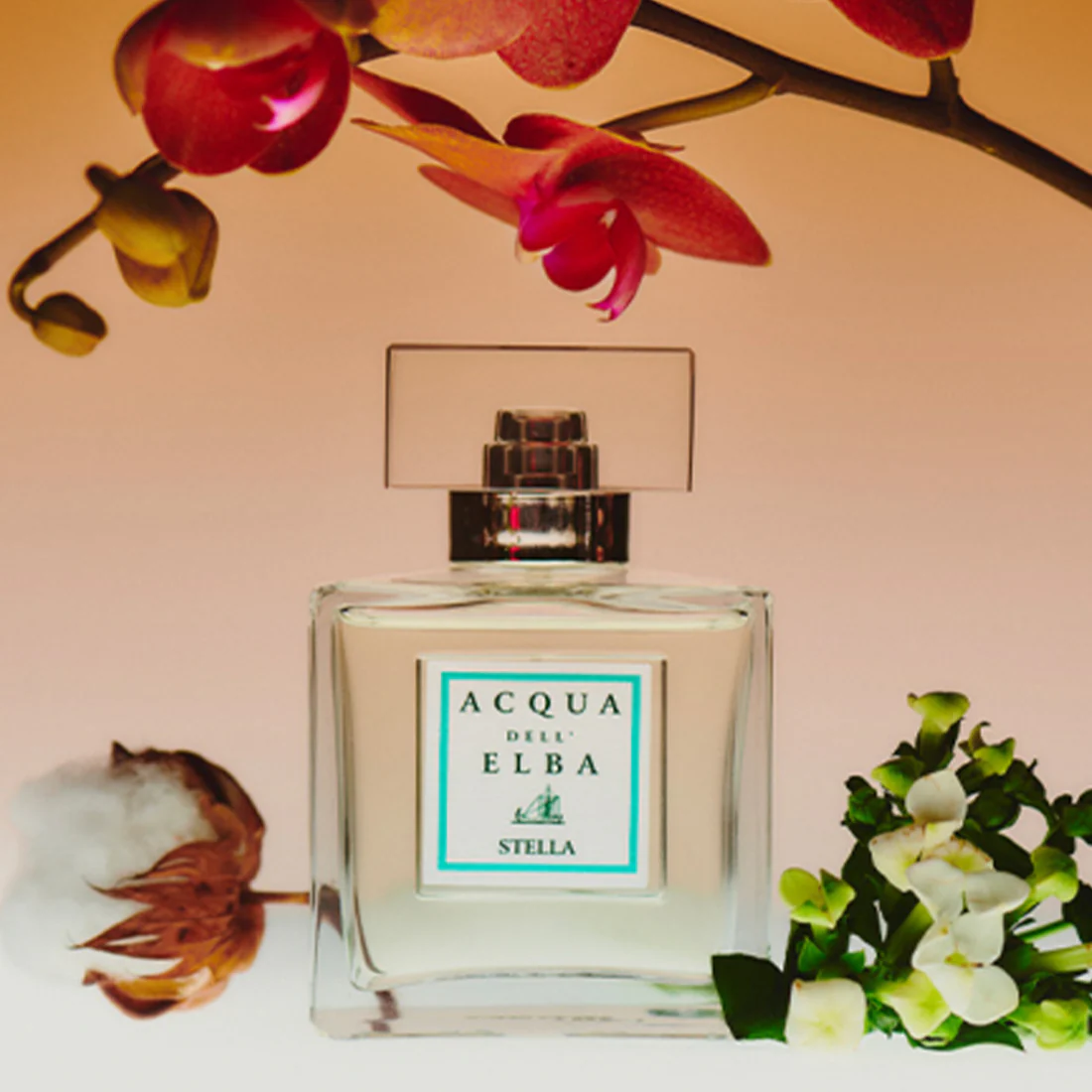 Stella Eau De Parfum - Image 4