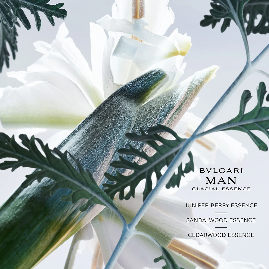 Man Glacial Essence Eau De Parfum - Image 2