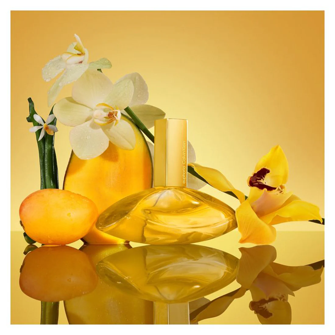 Euphoria Solar Elixir Parfum Intense - Image 3