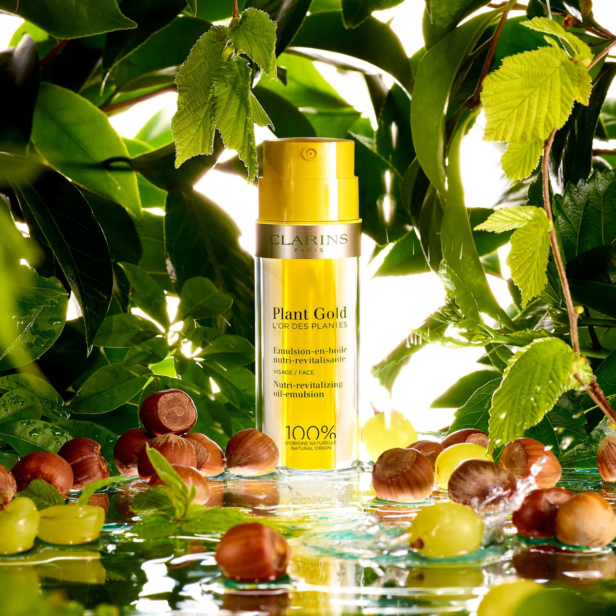Plant Gold L'or Des Plantes Olio Viso Illuminante - Image 5
