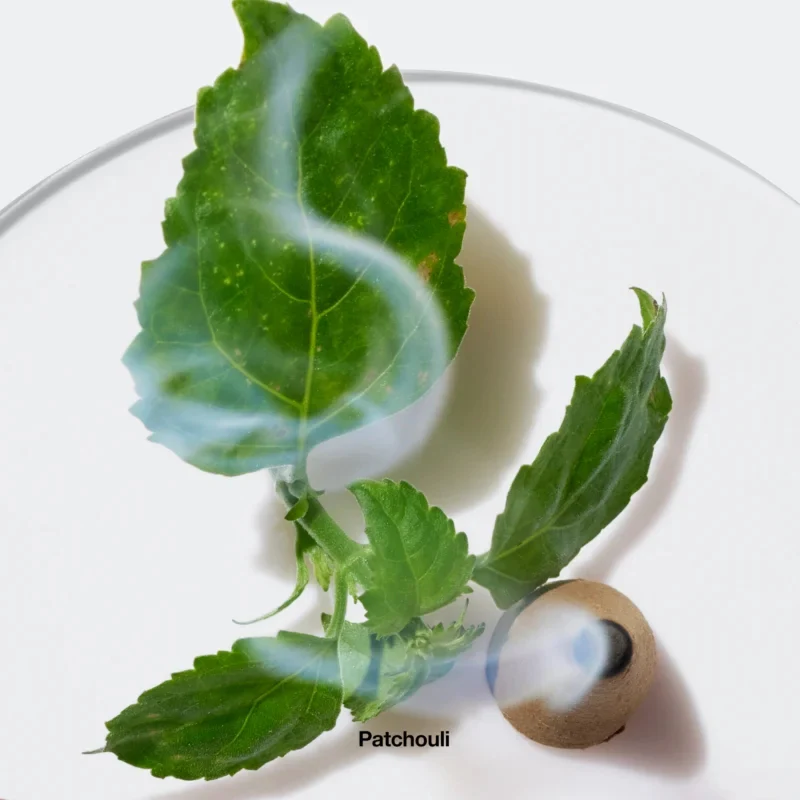 Aromatics Elixir Eau De Parfum - Image 3