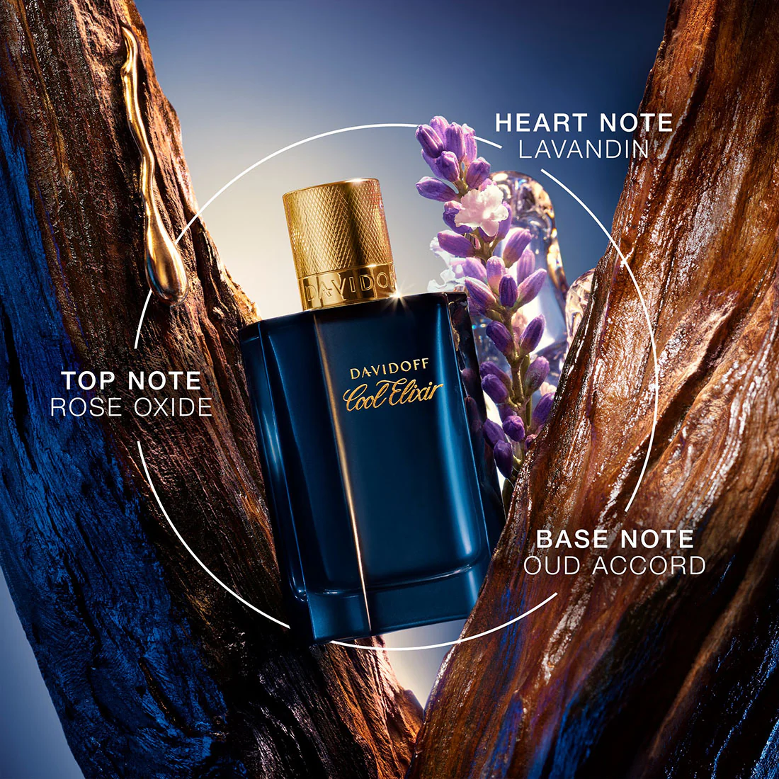 Cool Elixir Parfum Intense - Image 5