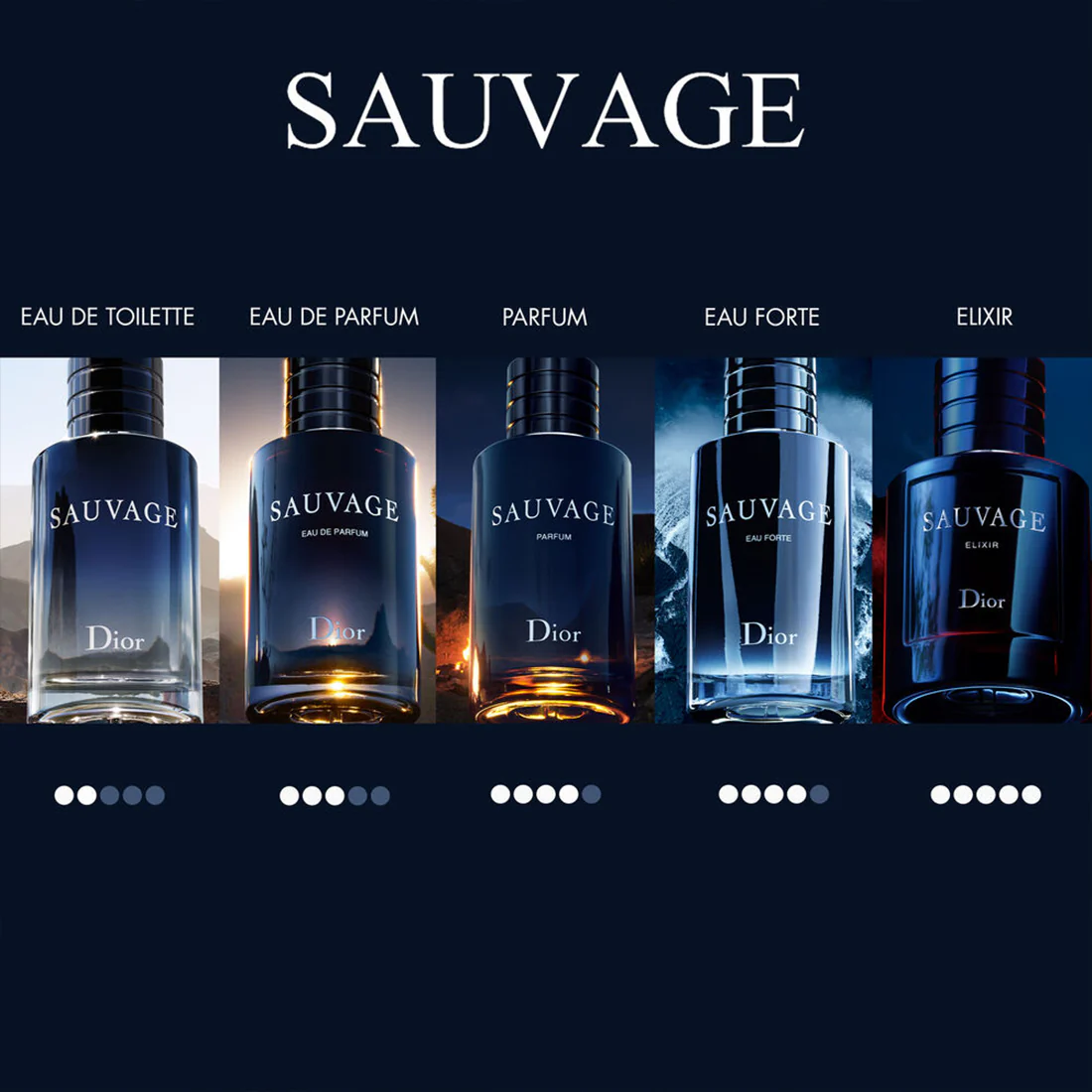 Sauvage Elixir - Image 8