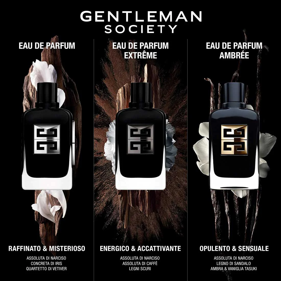 GENTLEMAN SOCIETY NOMADE - Image 8