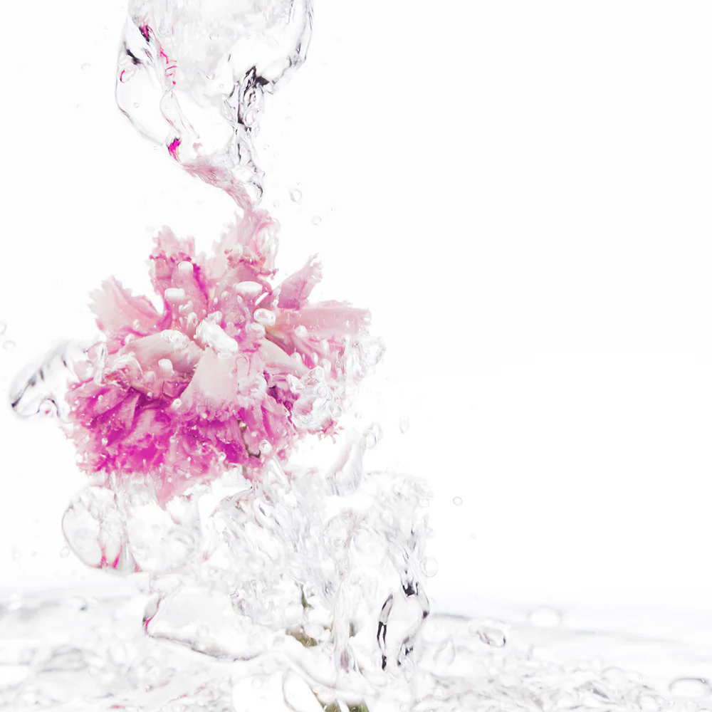 Like A Cherry Blossom Acqua Micellare Ultradelicata - Image 2
