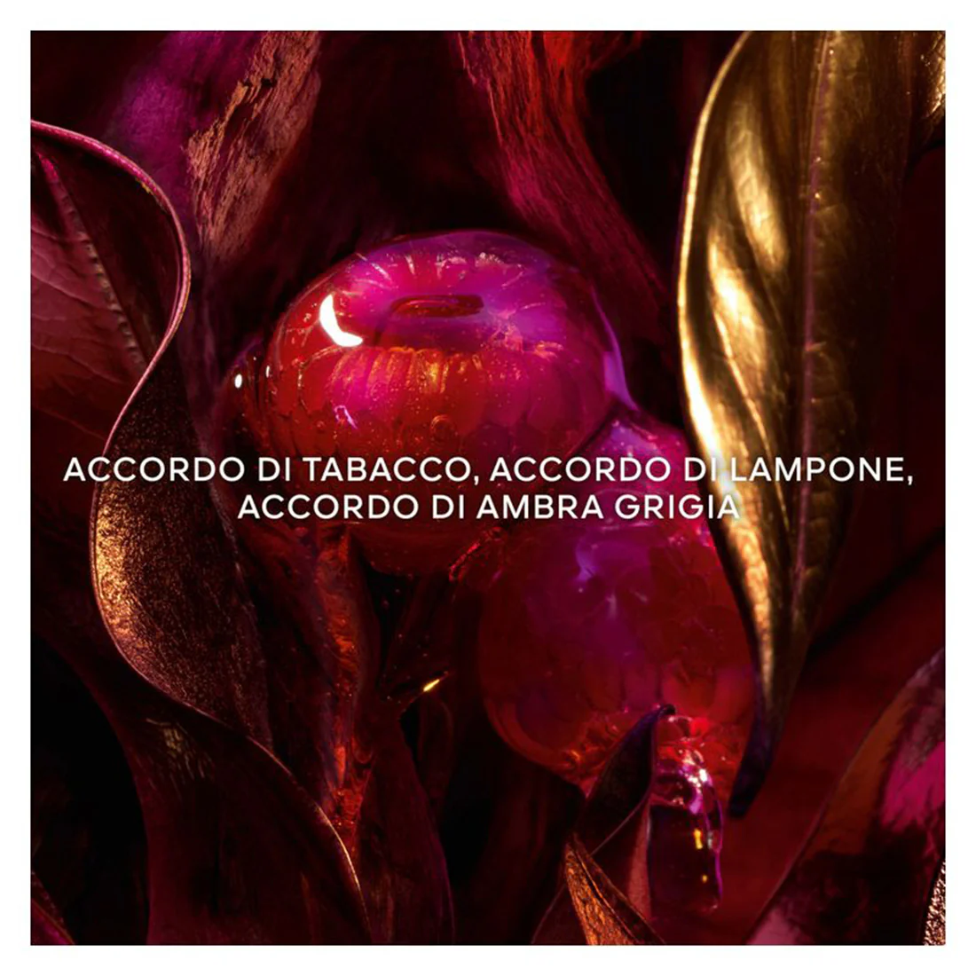 Absolus Allegoria Tabac Sahara Eau De Parfum - Image 4