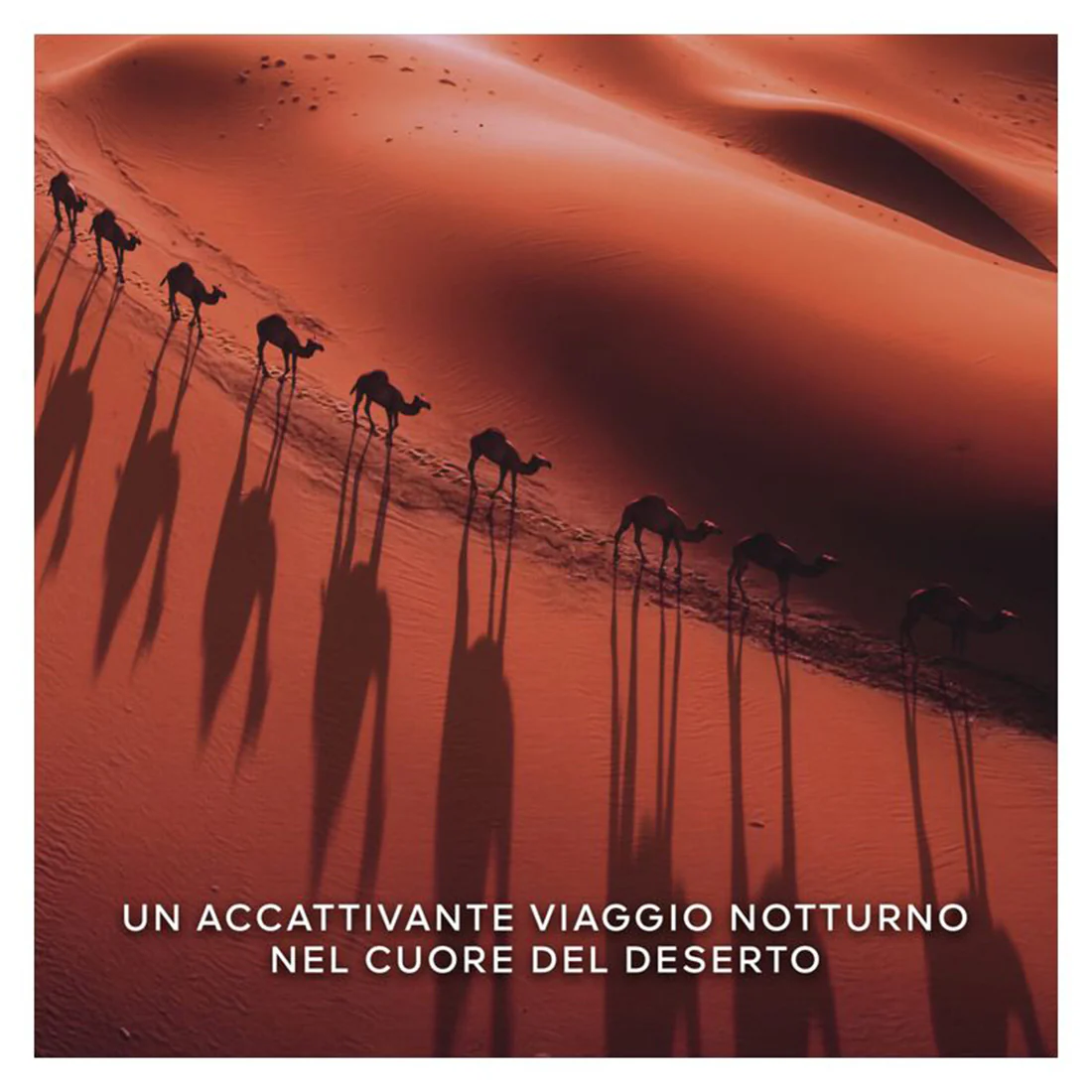 Absolus Allegoria Tabac Sahara Eau De Parfum - Image 5