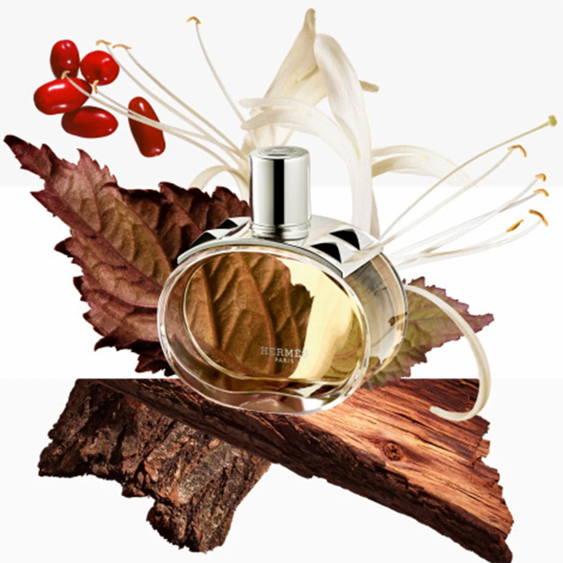 Barenia Eau De Parfum - Image 14