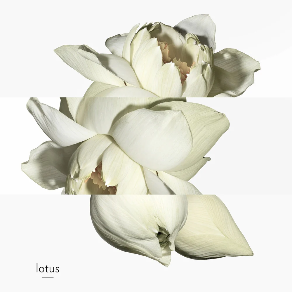 Un Jardin Sur Le Nil Eau De Toilette - Image 5
