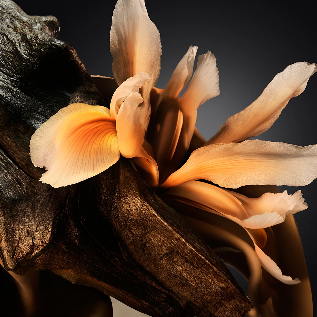 Bottled Parfum - Image 12
