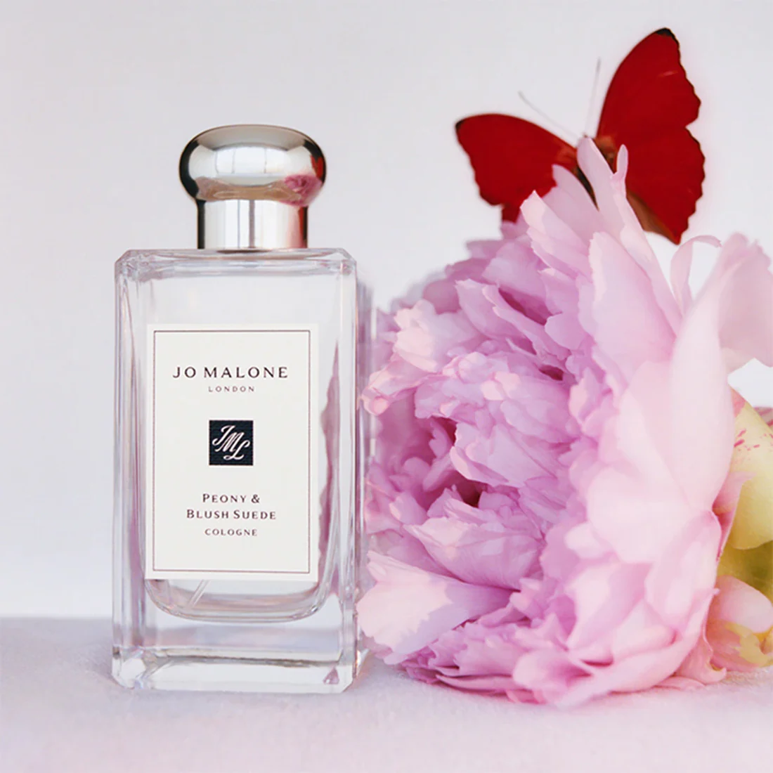 Peony & Blush Suede Cologne - Image 6
