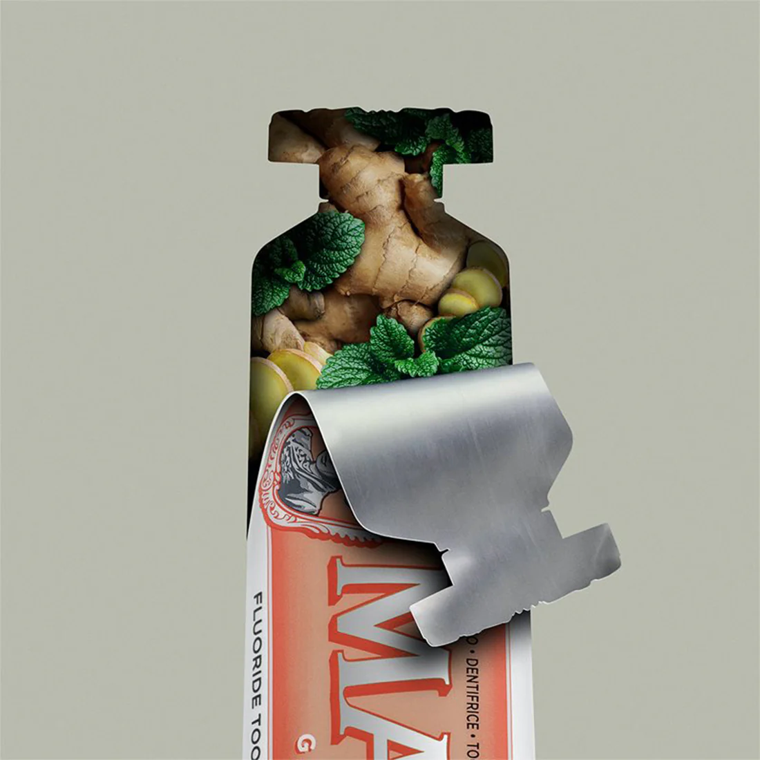 Dentifricio Ginger Mint - Image 2