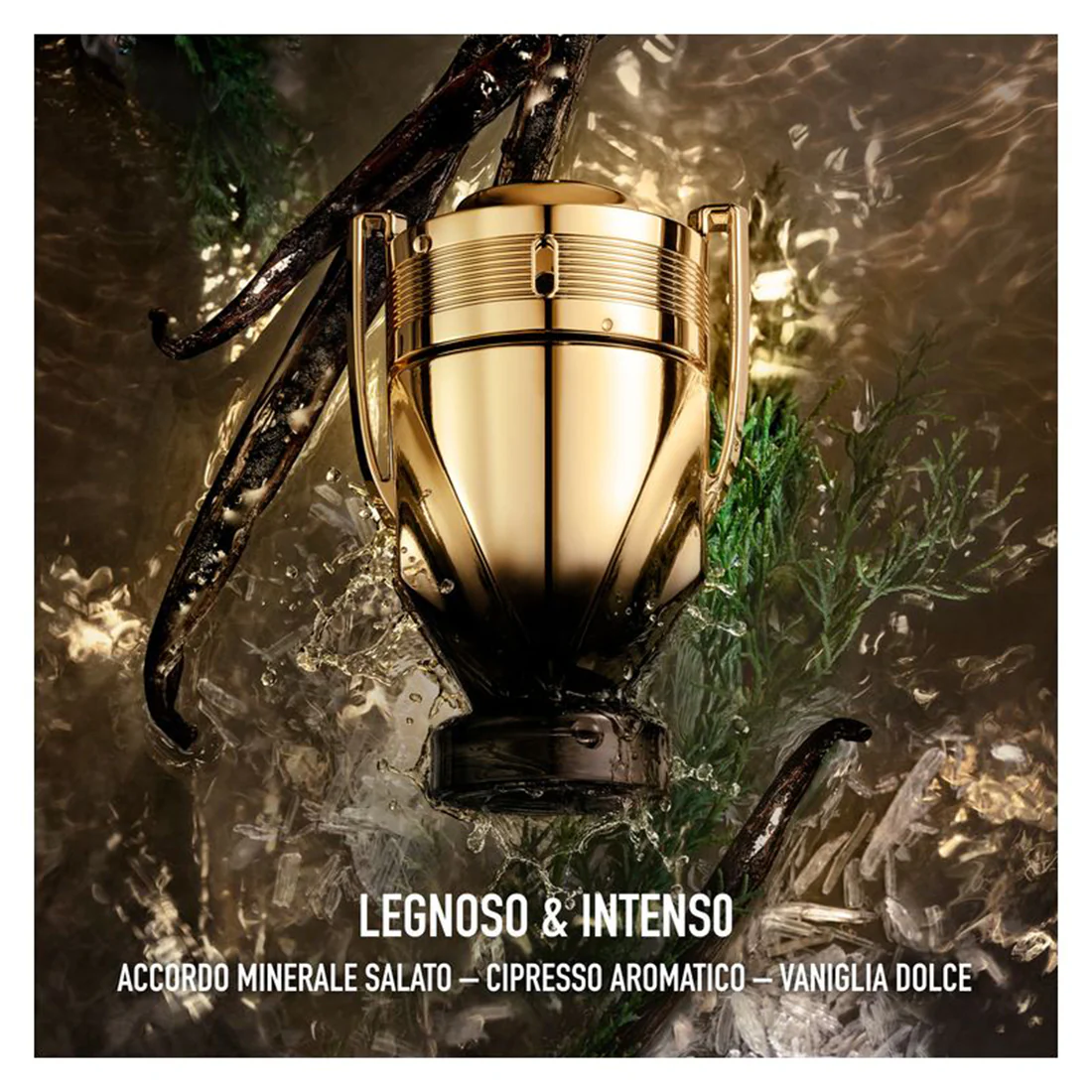 Invictus Elixir Parfum Elixir - Image 13