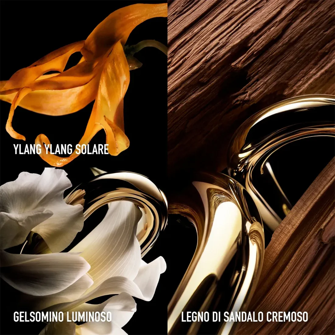 Million Gold For Her Le Parfum - Image 19