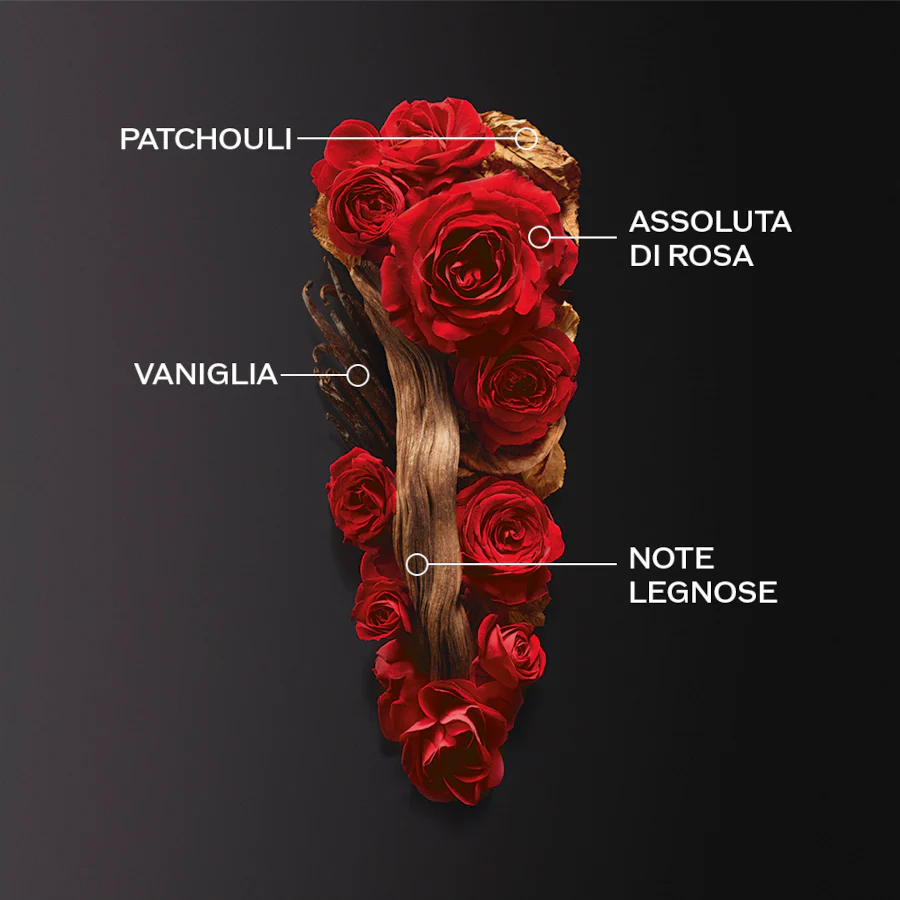 Ginza Eau De Parfum Intense - Image 9
