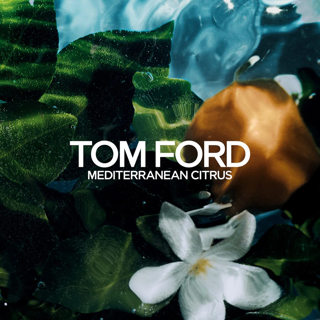 Neroli Portofino Eau De Parfum - Image 12