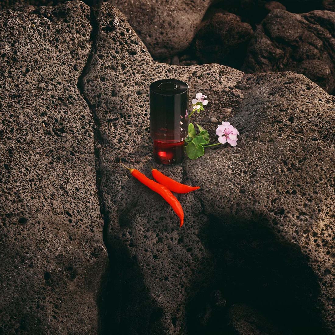 Primo Eau de Parfum - Image 4