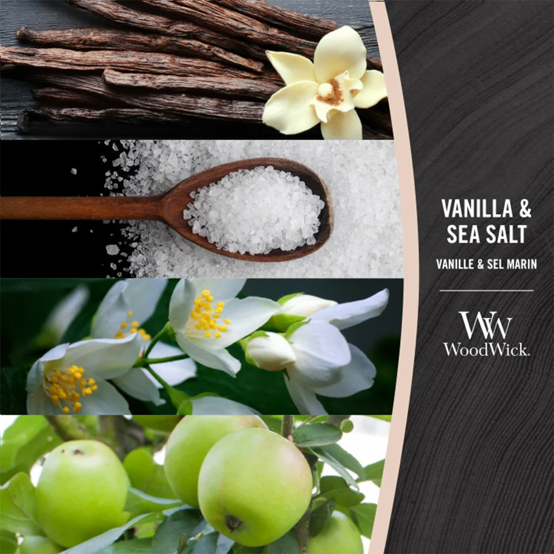 Candela Vanilla & Sea Salt - Image 2