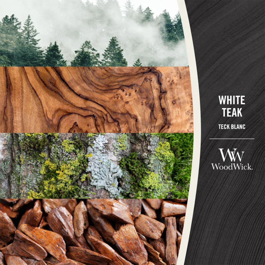 Candela White Teak - Image 2