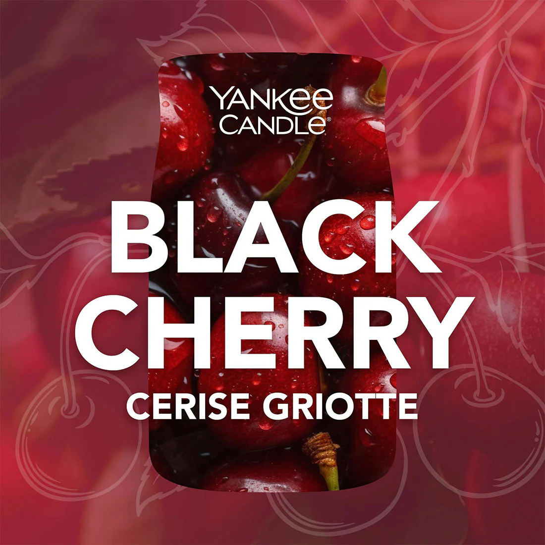 Candela Black Cherry - Image 9