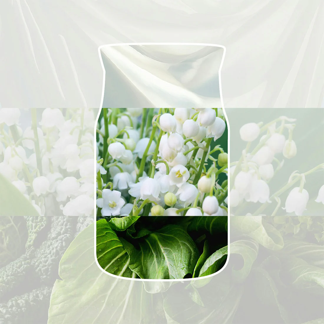 Candela Clean Cotton - Image 20