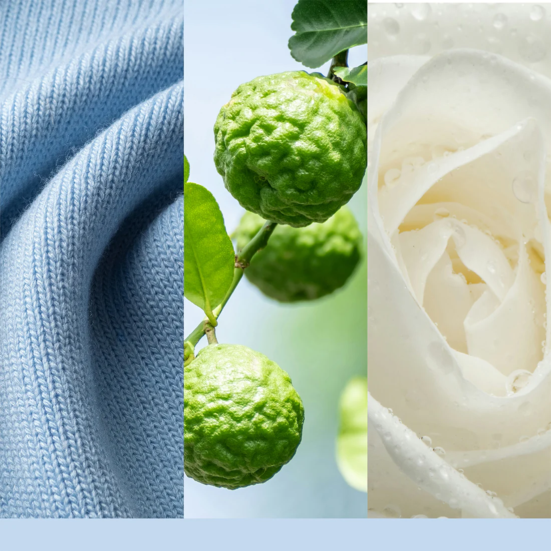 Candela Soft Blanket - Image 17